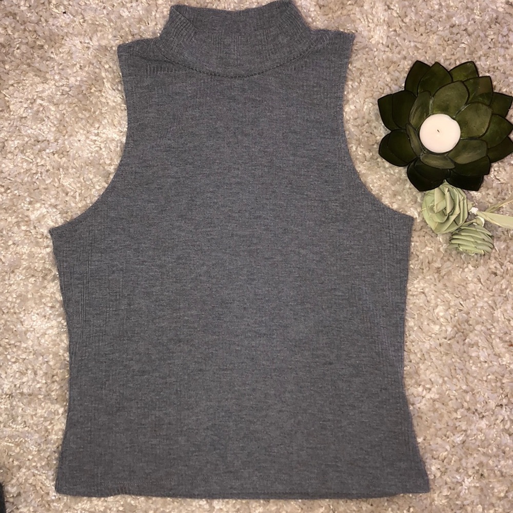 Gray Turtle neck with no sleeves.